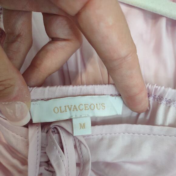 Olivaceous Silky Feeling Mini Dress, Size Medium - Picture 6 of 6